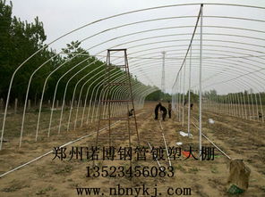 供应 大棚 骨架 温室 大棚 骨架机 食用菌大棚 骨架