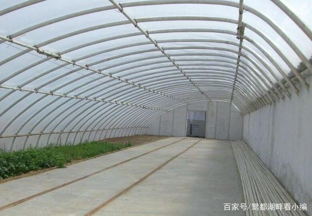 建一个一亩地的蔬菜大棚需要多少钱？