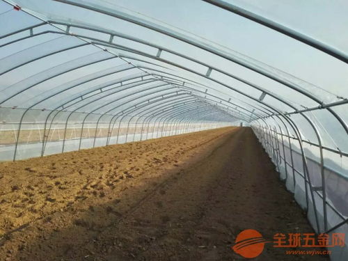 贺州大棚钢管厂 助力现代农业的钢结构基石